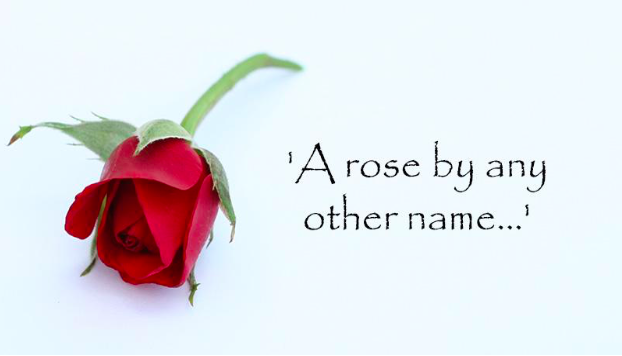 Crusading for a Change of Our Newspaper’s Name and Our Mascot: What Would Jesus Do?