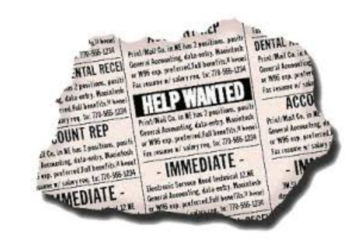 Wanted: Temporary Friends for Junior Year