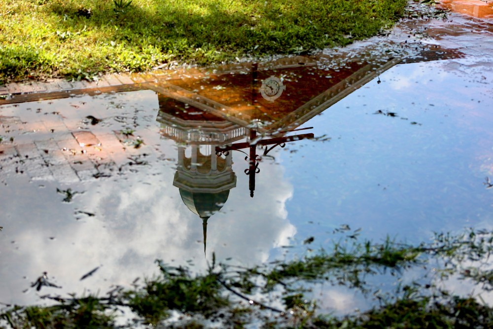 Florence Stalls College Life in the South