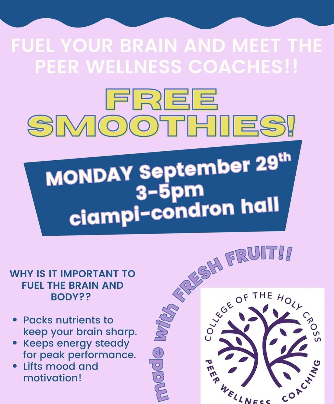 Interview with Beck Schutte on Peer Wellness Coaching Event