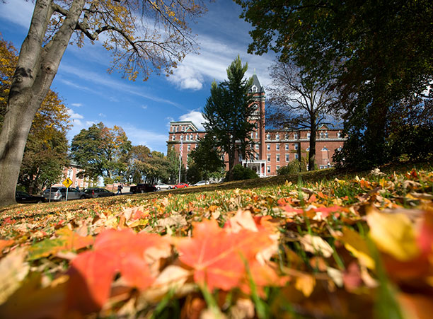 The Beauty of Fall Break