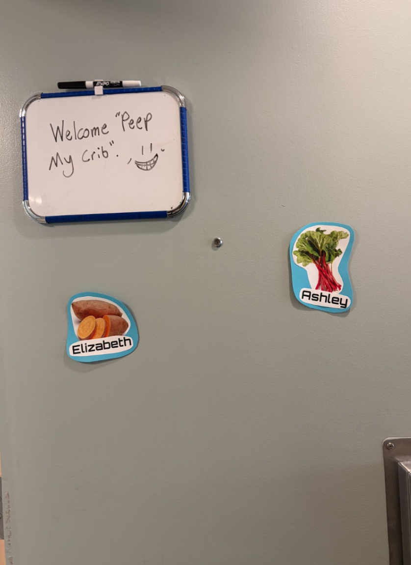 Peep My Crib – Lizzie and Ashley