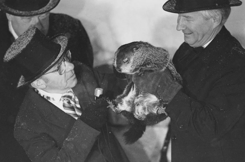 Punxsutawney Phil Talks Groundhog Day, Return to Acting
