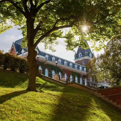 Opportunities for Student Development