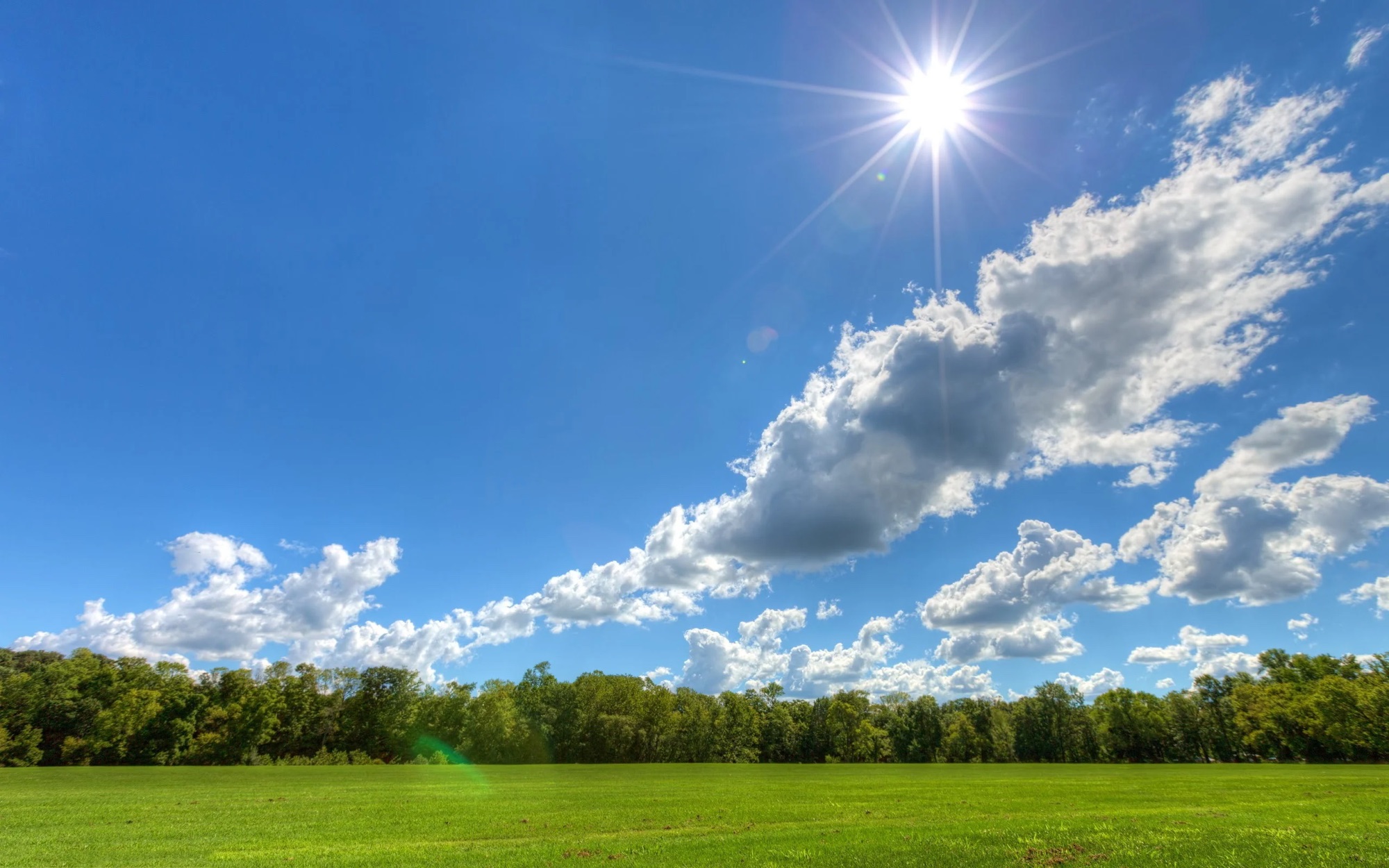 Sunny Day Causes Seasonal Hope: Too Good To Be True