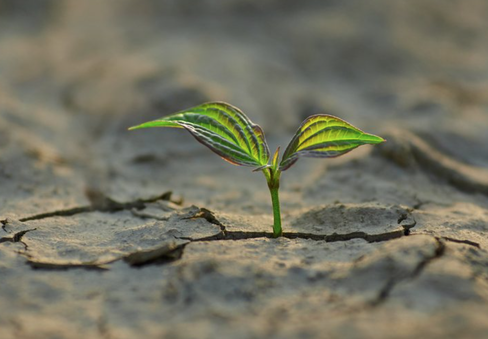 Why We Need to Remain Hopeful